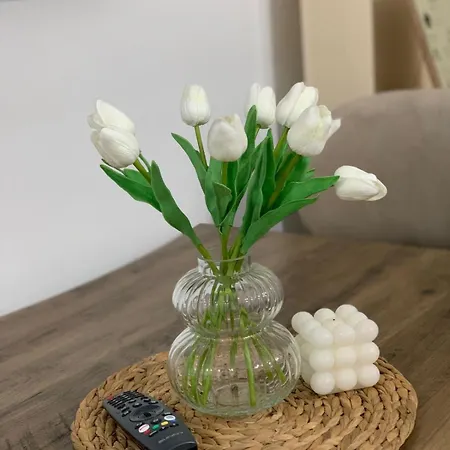 Ridi's Comfort 2 Апартаменты *