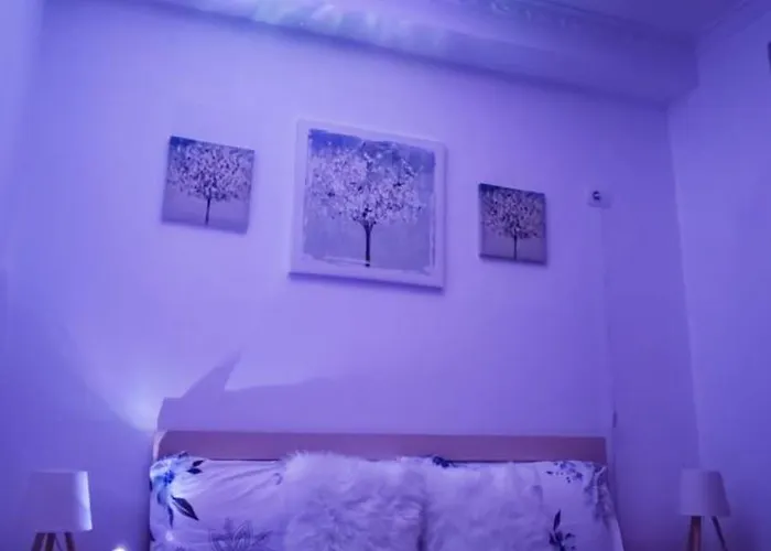 Ridi's Comfort 2 아파트 *